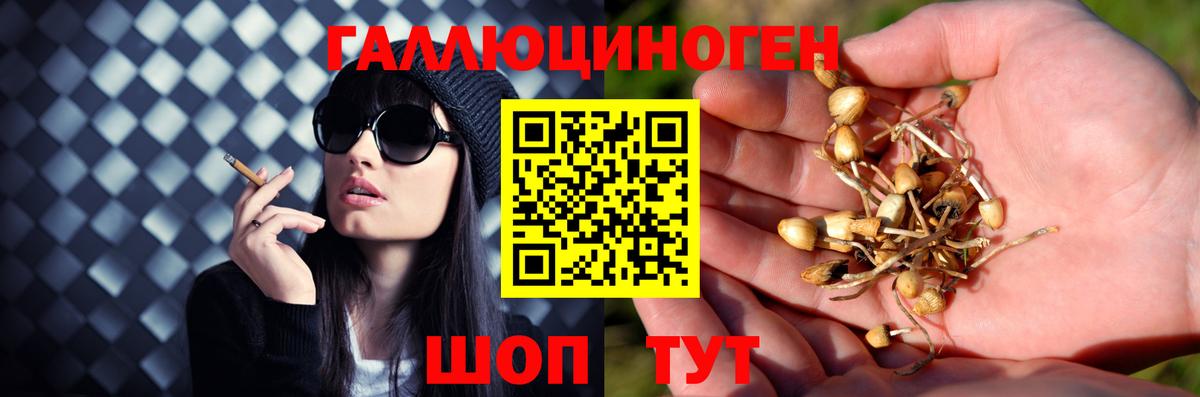 Псилоцибиновые грибы MAGIC MUSHROOMS Бор