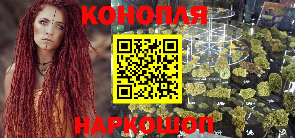 Бошки Шишки VHQ Бор